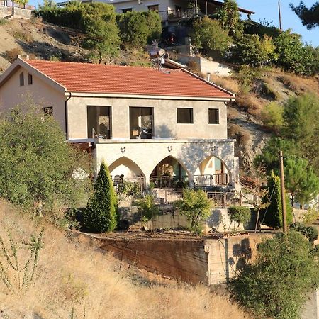 Georgiou Villa In Action Pelendri Екстериор снимка