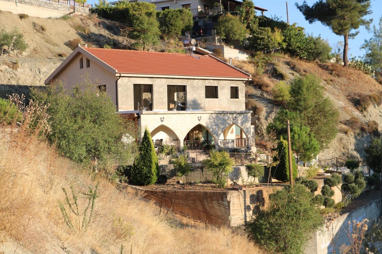 Georgiou Villa In Action Pelendri Екстериор снимка